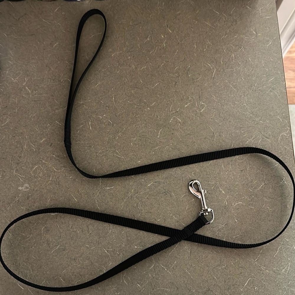 Thin Black Pet Leash